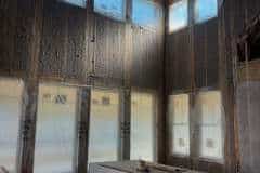 cellulose-new-walls