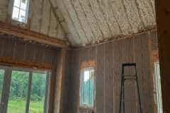 cellulose-new-walls4